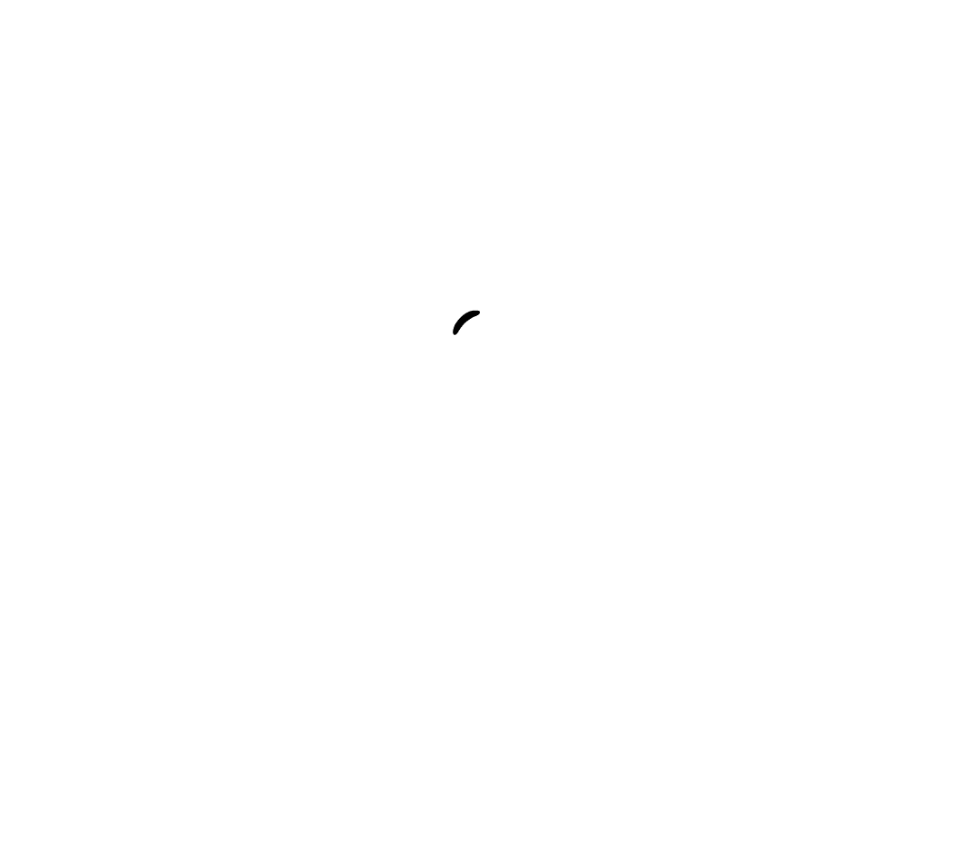 Prism Lens
